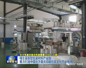 年产值20亿元包装产业园崛起，26家包装印刷厂共筑产业新高地